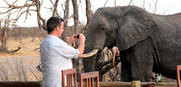 Nra en elefant i Zimbabwe