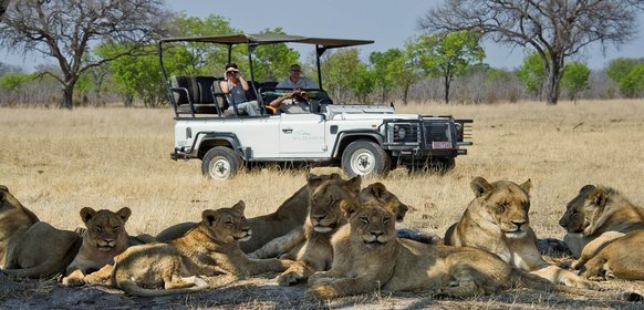 Resa till Hwange National Park i Zimbabwe